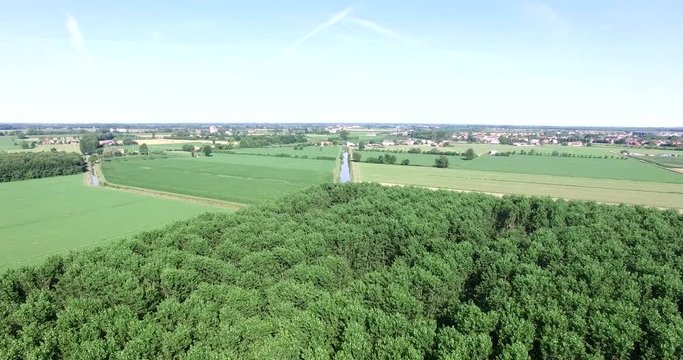 Italia giugno 2017 - vista aerea di una faggeta in provincia di mantova con campi verdi e canali di irrigazione