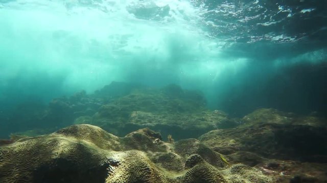 Underwater waves breaking on a shallow reef with fish and coral, natural light, Caribbean sea, Costa Rica, 50fps
