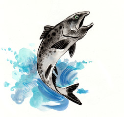 Jumping salmon. Watercolor sketch