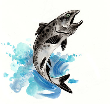 Jumping Salmon. Watercolor Sketch