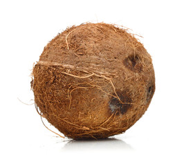 Coconuts isolated on white background