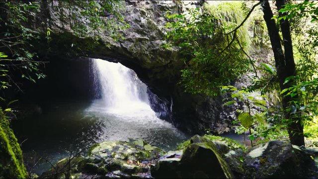 the view looking into the cavern at natural bridge in springbrook national park, queensland