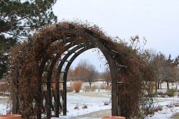 Arch of Winter
