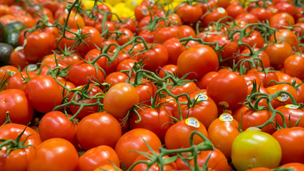 Tomato