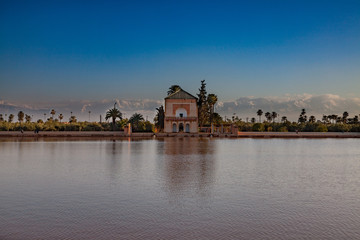 Oliven Plantage mit Atlas