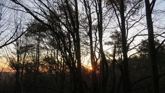 Sunrise at Zborow Mountain