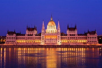 The Hungarian Parliament by the Danube River