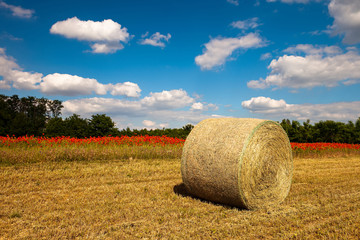 Poppy field with hay bale