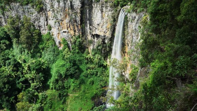 springbrook national park's purlingbrook waterfall in the gold coast hinterland