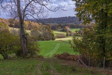 a path through a green meadows in English countryside in autumn on a cloudy day