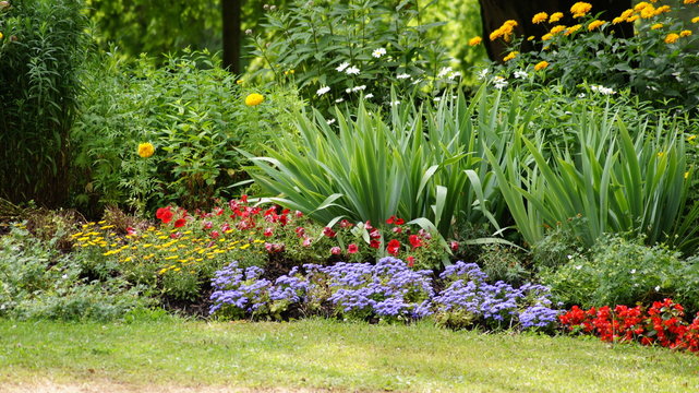 Kunterbunte Pflanzenwelt 