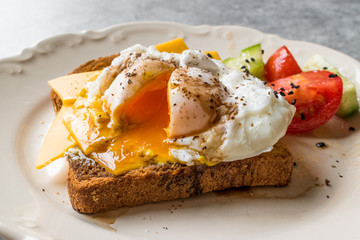 Poached Egg on Toast Bread with Cheddar Cheese, Balsamic Vinegar, Salad and Black Sesame or Cumin Seeds