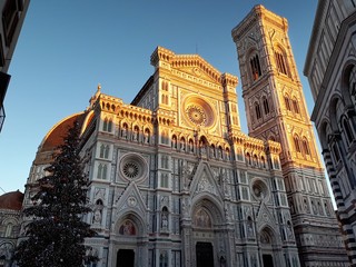 Christmas Tree in Piazza del Duomo at Florence with Cathedral of Santa Maria del Fiore on background. Tuscany, Italy