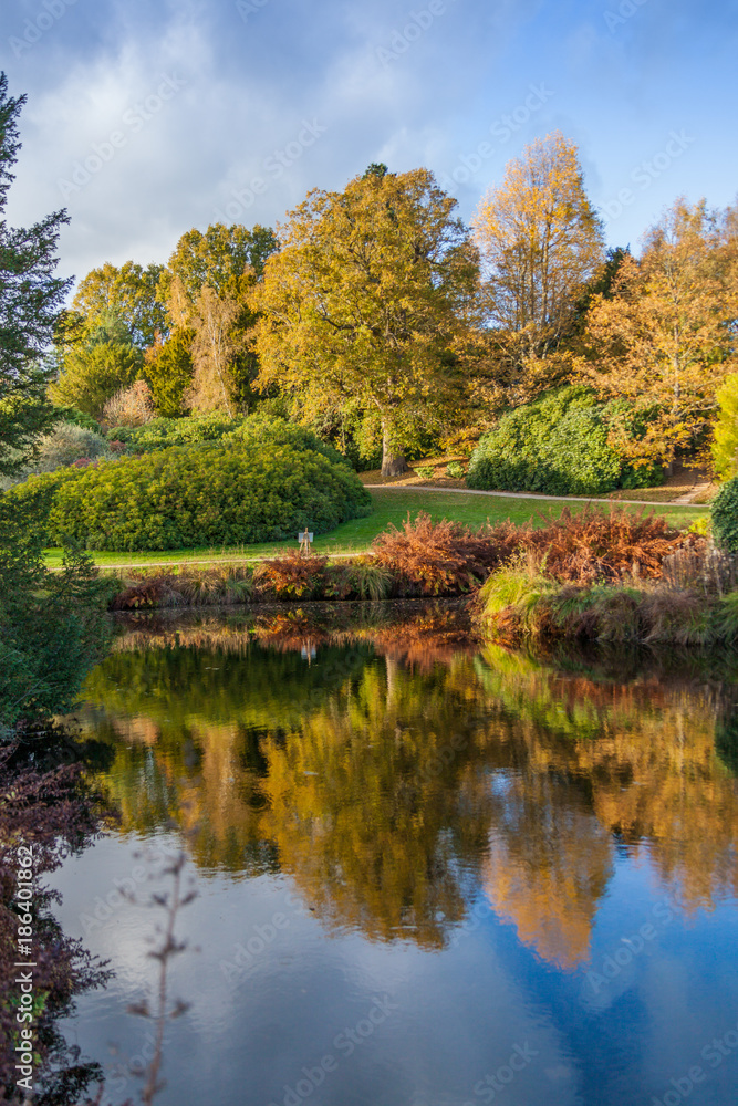 Wall mural autumn trees reflected in a water in english countryside