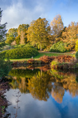 autumn trees reflected in a water in English countryside 