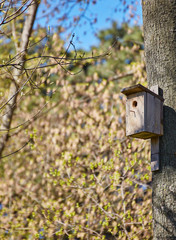 Birdhouse hanging on tree in Park