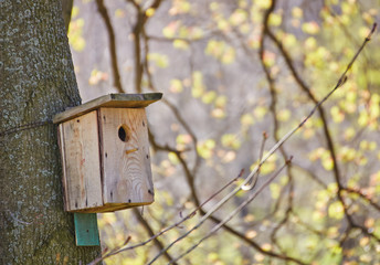 Birdhouse hanging on tree in Park