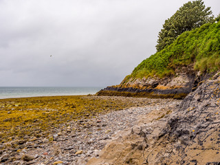 Fototapeta premium Rocks and coastline at Tenby South Beach, Tenby, Wales, Uk