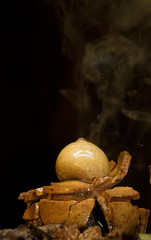  Collared earthstar releasing a cloud of brown dust-like spores in response to impact of falling raindrops