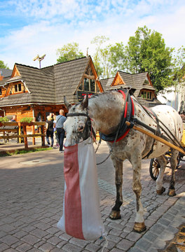 Caballos en Zakopane, Polonia