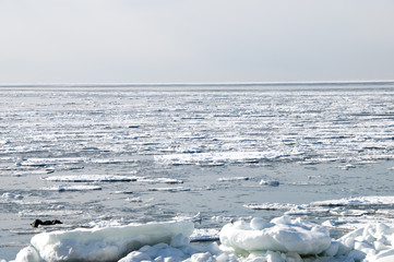接岸した流氷　オホーツク海