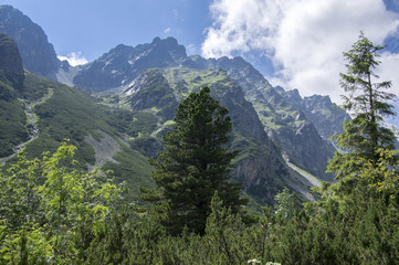 Mengusovska dolina, important hiking trail to hight mount Rysy, High Tatra mountains, Slovakia, amazing view with green hills