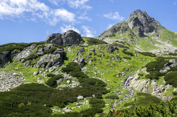 Mengusovska dolina, important hiking trail to hight mount Rysy, High Tatra mountains, Slovakia, amazing view with green hills