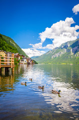 Fototapeta premium Fantastic landscape of Hallstatt lake with ducks, Austrian Alps, Salzkammergut, Austria, Europe