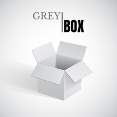 Open box, grey cardboard, vector container