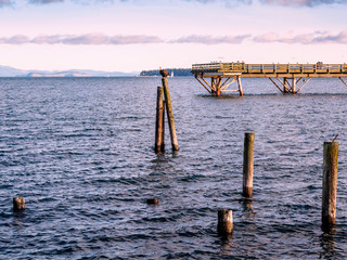 Bald Eagle on piles at the shore. Sidney, BC, Vancouver Island, Canada