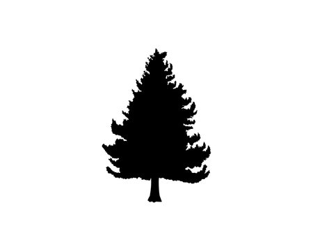 Black Pine Tree Illustration Vector Logo Silhouette