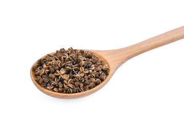 dried zanthozylum limonella alston in wooden spoon isolated on white background