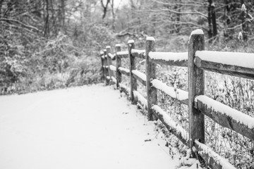 Old fence covered in snow abstract background. Black and white photography