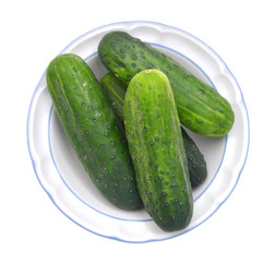 fresh cucumbers isolated in plate on white