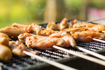 Chicken grilled in a grille , seasoned with seasoning. Use as a food concept.