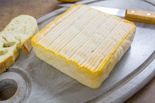fromage &agrave; p&acirc;te molle