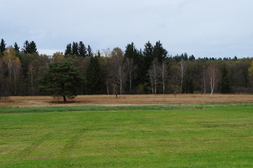 Feld Wald und Wiese