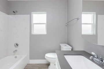 Obraz na płótnie Canvas Small bathroom in grey