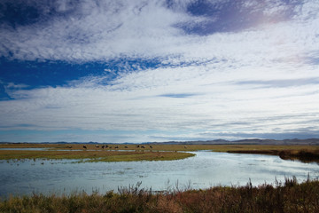 Obraz premium Grassland scenery in Inner Mongolia, China