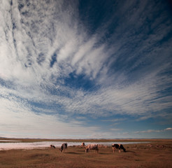 Fototapeta na wymiar Grassland scenery in Inner Mongolia, China