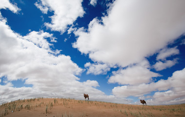 The scenery of desert in Ejina, Inner Mongolia, China