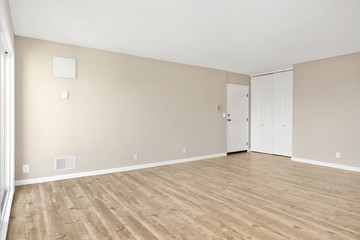 Living Room interior after remodelling with Balcony and wooden floor.