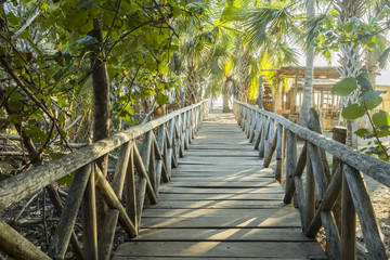 wooden bridge through the treetops in a rainforest, way to the beach,La Ventanilla, a small town on the beach, Oaxaca