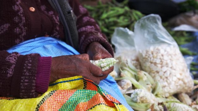 side on view of a peruvian woman taking giant corn kernels of the cob at a street market in cusco, peru