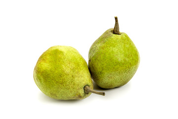 洋梨シルバーベル
