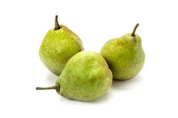 洋梨シルバーベル
