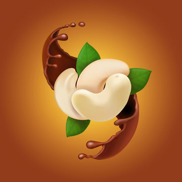 Chocolate splash and cashew realistic illustration