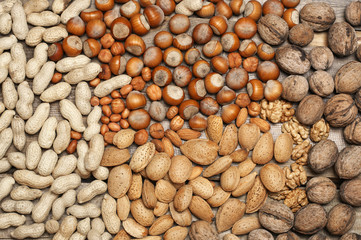 Variety nuts close-up