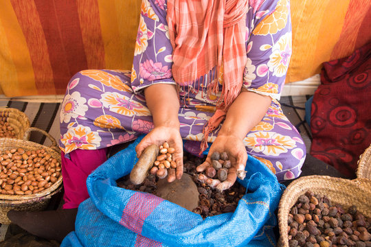 The Making Of Argan Oil From The Argan Nut By Local Women Essaouira