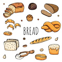 Hand drawn doodles of cartoon food: rye bread, ciabatta, whole grain bread, bagel, sliced bread, french baguette, croissant, sandwich, cake. Bread set. Vector illustration. Sketch elements collection.